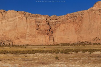 Encontramos vida no deserto