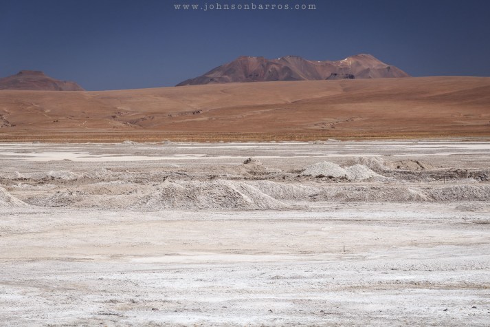 Salar Capina