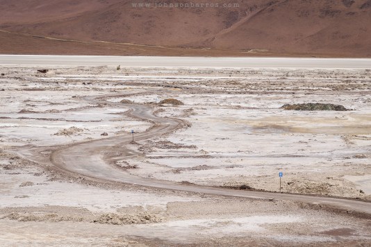 Salar Capina