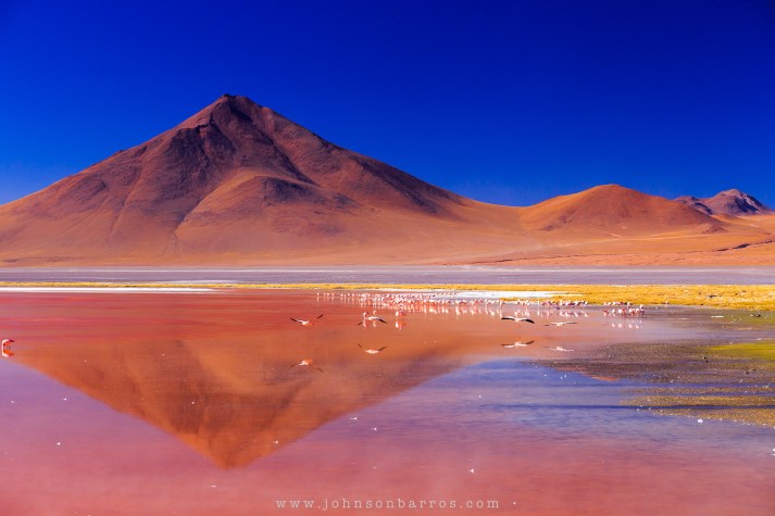 Devido à grande quantidade de algas que vivem nessa lagoa salgada, a cor vermelha tinge suas águas e servem de alimento para os flamingos.